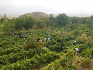 KUDAKA’dan Marka Ürünlerin Yerinde Tanıtımı Stratejisi Galeri