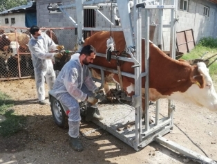 Kırsalda Üretim Soğuk Zincirle Değer Kazanıyor Galeri